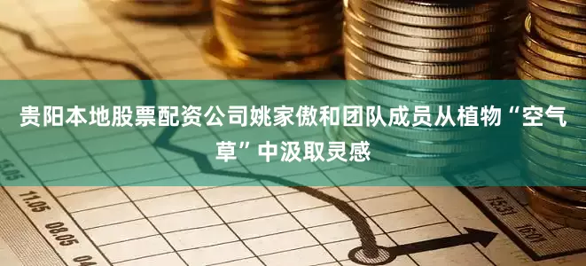 贵阳本地股票配资公司姚家傲和团队成员从植物“空气草”中汲取灵感