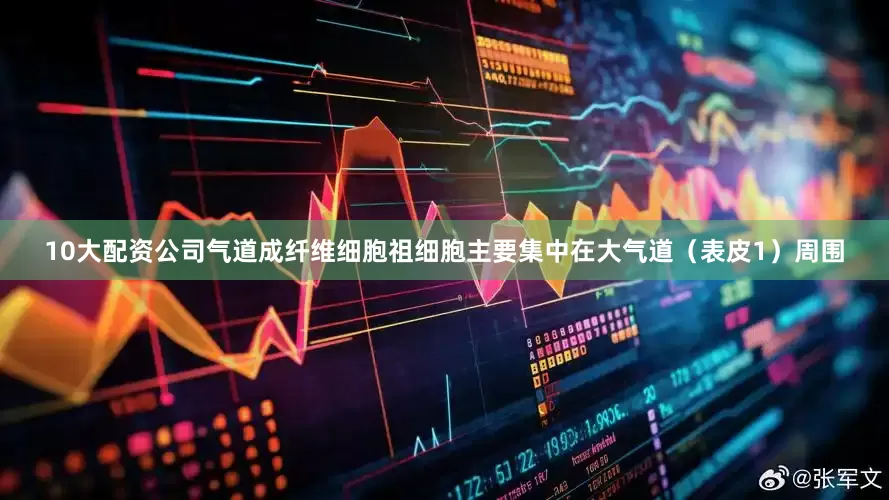 10大配资公司气道成纤维细胞祖细胞主要集中在大气道（表皮1）周围