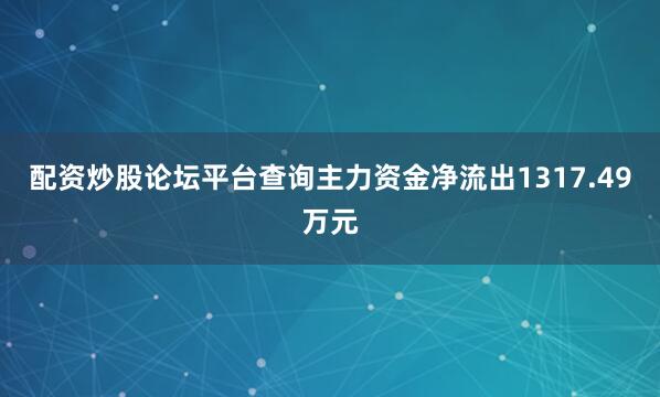 配资炒股论坛平台查询主力资金净流出1317.49万元